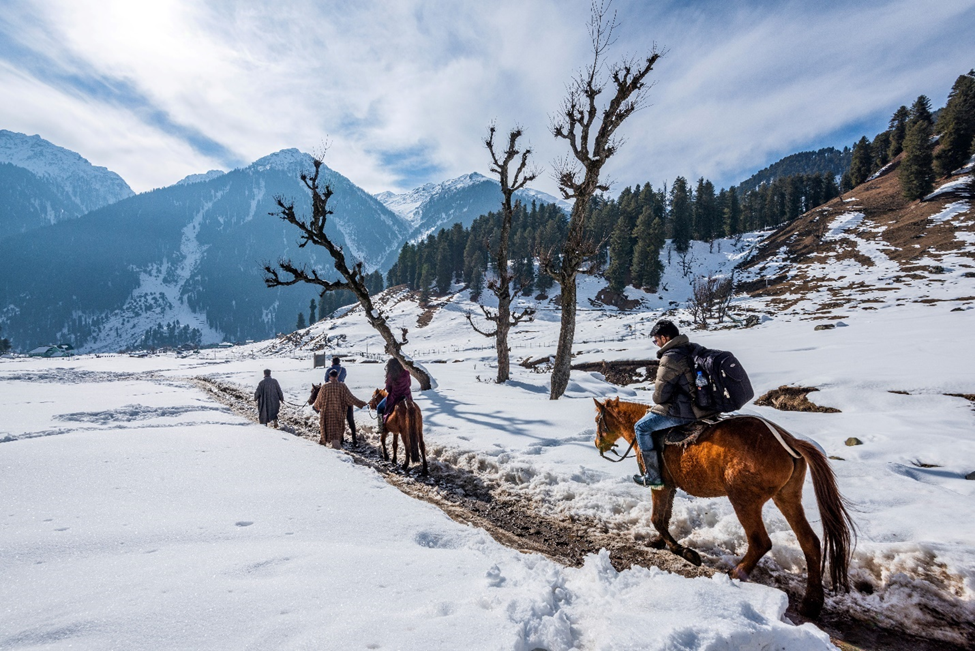 Discovering Kashmir's Treasures: Six Nights and Seven Days of Enchanting Adventures